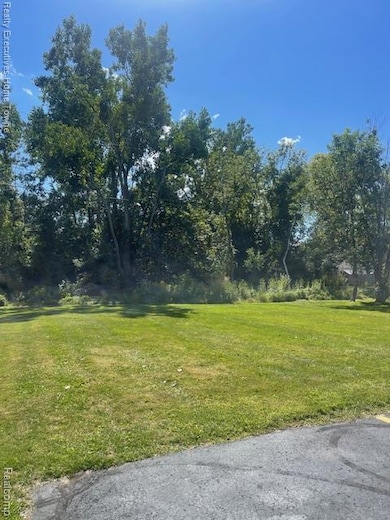 00 Campau Ave, Port Huron Township, MI 48060 - photo 2