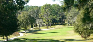 2751 W Blink Dr, Citrus Springs, FL 34434 - photo 2