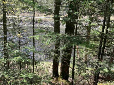 Lot 19 Route 3, Columbia, NH 03576 - photo 7