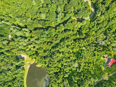 Lots G37 & G39 Lake Rd, Stanley, VA 22851 - photo 3