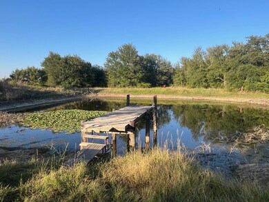 9559 County Road 133, Brownwood, TX 76801 - photo 5