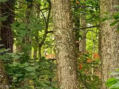 0 R 9 unit 5139092, Arnoldsburg, WV 25234 - photo 5