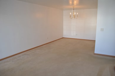 1437 Mcclure Rd unit 203, Aurora, IL 60505 - photo 5