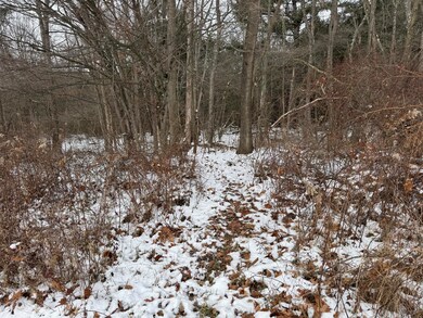 0 Richardsville Rd, Brookville, PA 15825 - photo 4