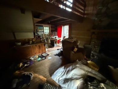 3905 S Wilson Hill Rd, Mill Spring, NC 28756 - photo 6