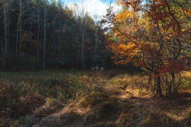 DJI_0585