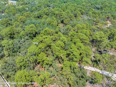 0 Restoration unit 2255435, Weeki Wachee, FL 34613 - photo 5