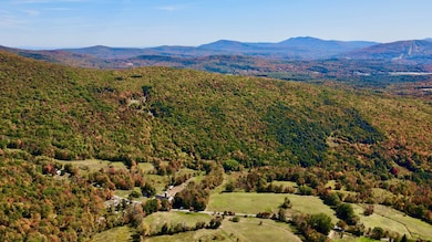 393 B G Partridge Rd, Ashland, NY 12496 - photo 3