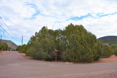 1087 S Palomino Cir unit 99-102, Payson, AZ 85541 - photo 5