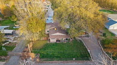 962 17 1 4 Rd, Fruita, CO 81521 - photo 5