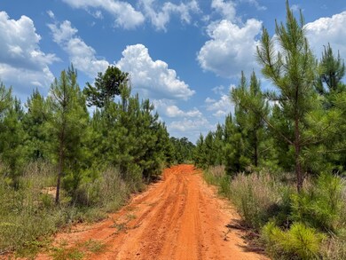 0 Buckhead Rd, Blair, SC 29015 - photo 6