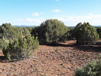 20200818045946549065000000-o