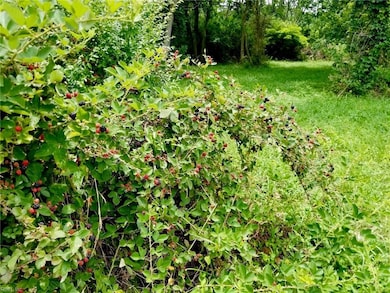 2.38ac Chesapeake Dr, Exmore, VA 23350 - photo 2