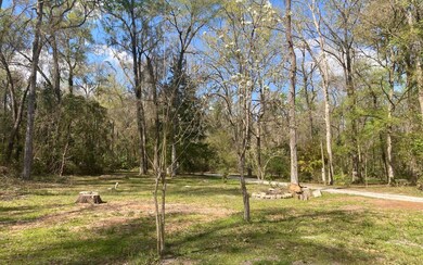 3760 284th St, Branford, FL 32008 - photo 3