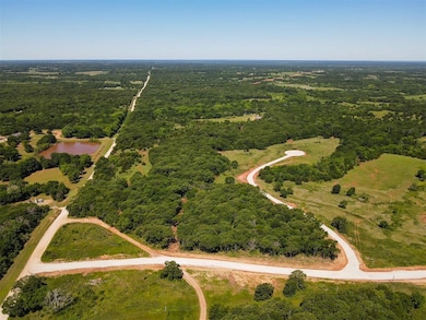 Bird's eye view of a forest