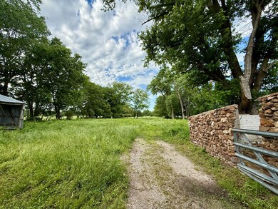IMG_7915