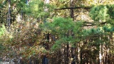 0 Highway 168 W unit 18037963, Paragould, AR 72450 - photo 4