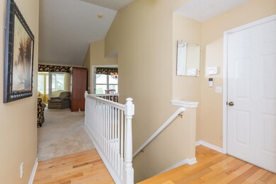 RN5_1474