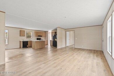 119 County Road 890 Rd, Etowah, TN 37331 - photo 4