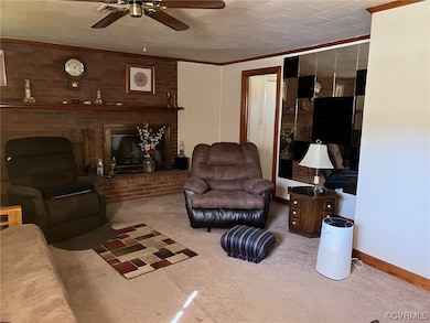 Living room featuring light colored carpet, wooden
