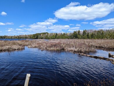 184 Wheaton Rd, Dover Foxcroft, ME 04426 - photo 4