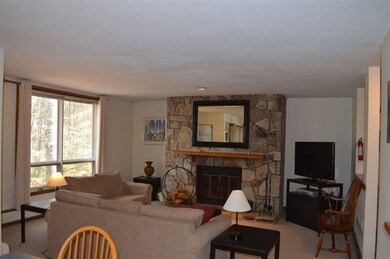 5 Northbrook Village Rd unit E-15, Dover, VT 05356 - photo 6