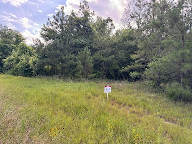 0 Alabama 69, Campbell, AL 36727 - photo 6