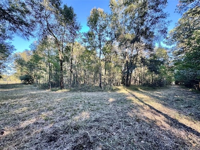 TBD County Road 2300 N, Cleveland, TX 77327 - photo 7