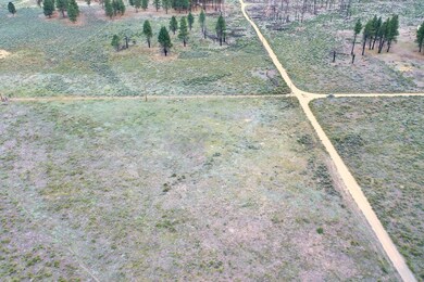 Ruffled Grouse Ln, Chiloquin, OR 97624 - photo 7