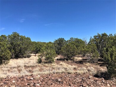 48275 N Steve Ln, Ash Fork, AZ 86320 - photo 6