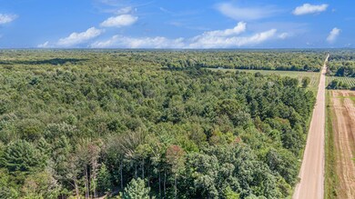 DJI_0493