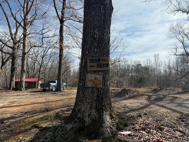 1228 Rosser Mill Rd, Pamplin, VA 23958 - photo 5