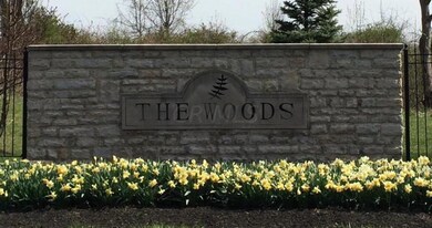 THE WOODS