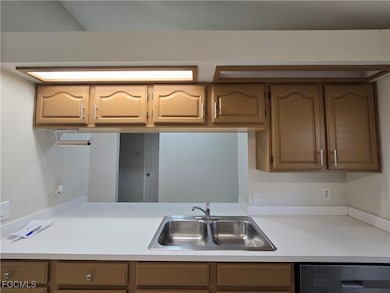 Kitchen featuring light countertops and dishwasher