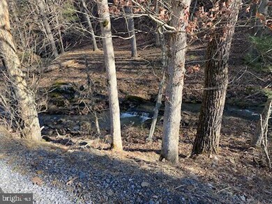 24 Strauter, Franklin, WV 26807 - photo 4