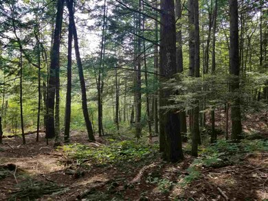 34a Forest Pond Rd, New Hampton, NH 03256 - photo 5