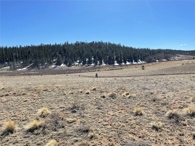 3233 Remington Rd, Como, CO 80456 - photo 5