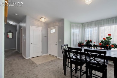 7668 Crested Jay Point, Colorado Springs, CO 80922 - photo 7