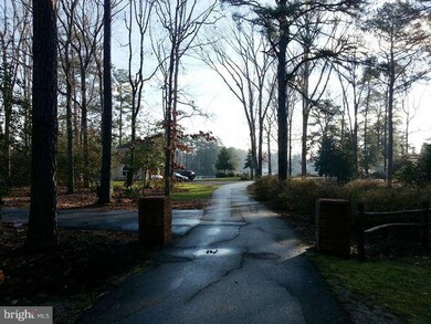 13640 Carls Way, Solomons, MD 20688 - photo 7