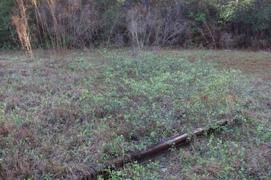 0 Forest Ln, Crawfordville, FL 32327 - photo 6