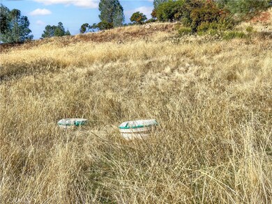 10203 El Capitan Way, Kelseyville, CA 95451 - photo 5