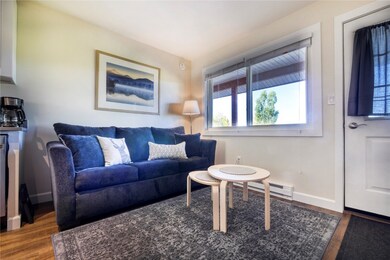 3295 Apres Ski Way unit B10, Steamboat Springs, CO 80487 - photo 5