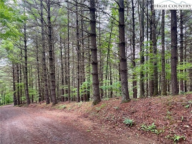 TBD Daniel Pierce Rd, West Jefferson, NC 28694 - photo 5