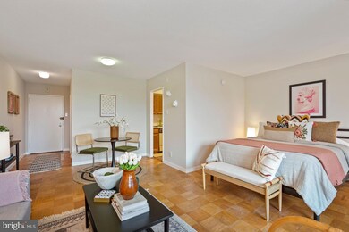 Tiber Island unit N-400, Washington, DC 20024 - photo 4