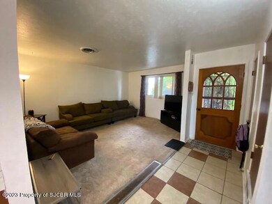 ENTRY AND LIVING SPACE