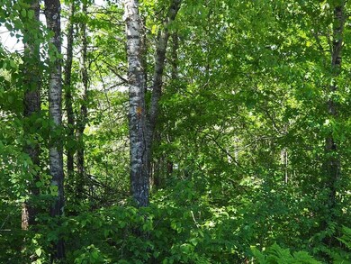 XXX Minerva Dam Rd, Danbury, WI 54830 - photo 5