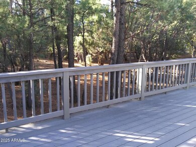 BACK DECK 3
