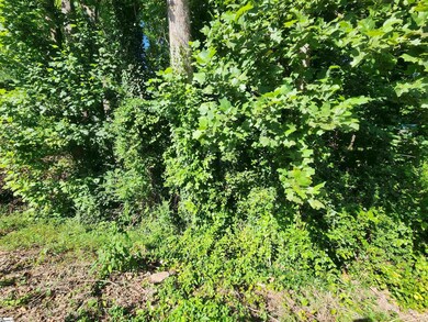 103 Quail Haven Dr unit 493 Odom Road, Easley, SC 29642 - photo 7