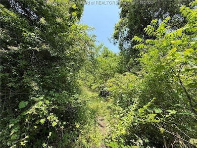 160 Pine St, Charleston, WV 25311 - photo 5