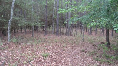 00 Cimmaron Rd, Stagecoach, TX 77355 - photo 3